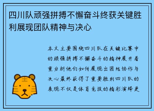 四川队顽强拼搏不懈奋斗终获关键胜利展现团队精神与决心